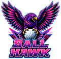 Ballhawk 80s Stickers