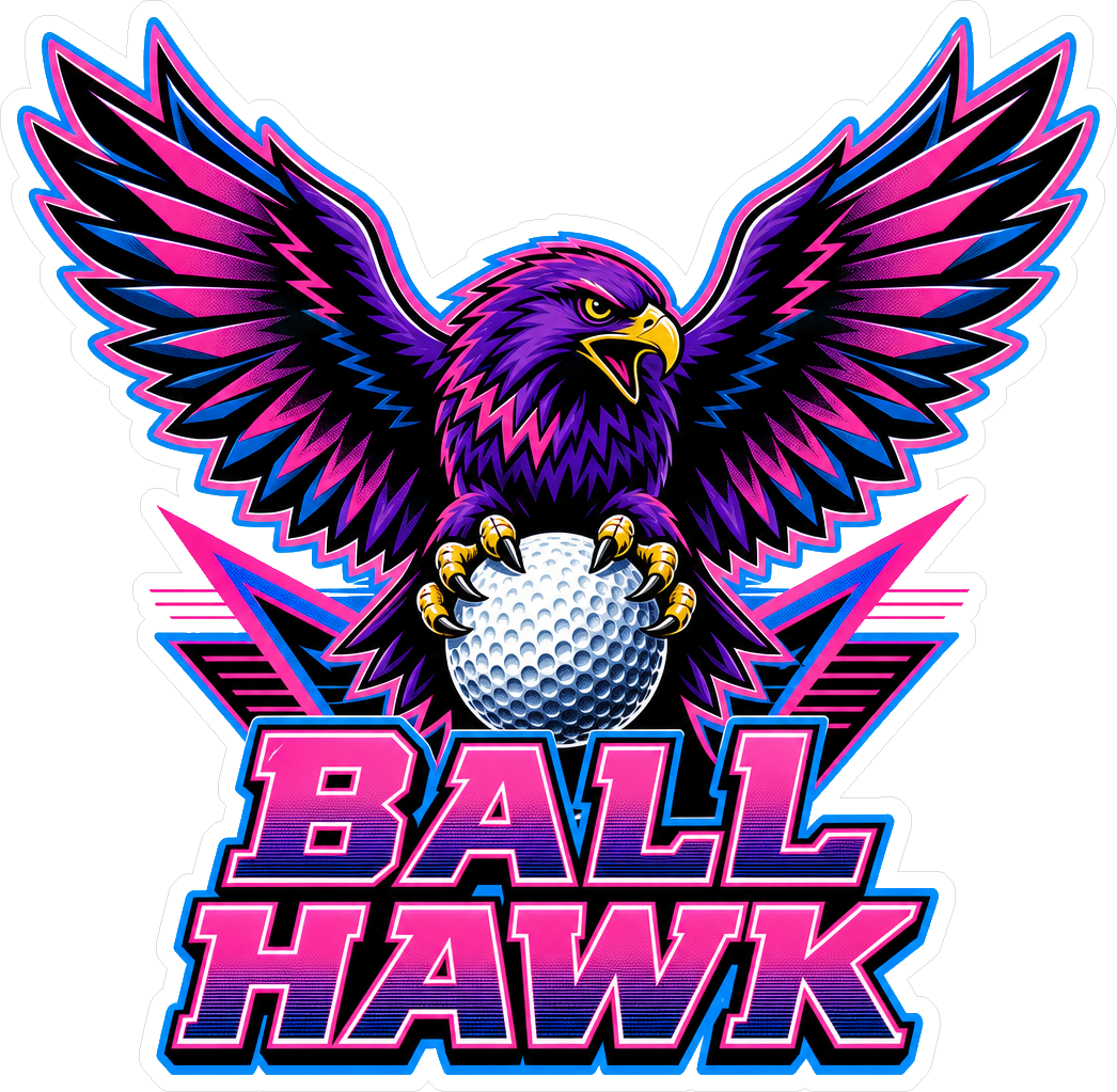 Ballhawk 80s Stickers