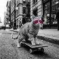 Cat Skating Short Sleeve T-Shirt