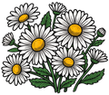 Flowers Daisies Short Sleeve T-Shirt