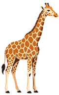 Giraffe Short Sleeve T-Shirt