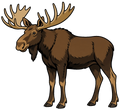 Moose Short Sleeve T-Shirt
